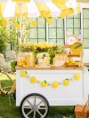 Lemonade Days Kit - Image 7